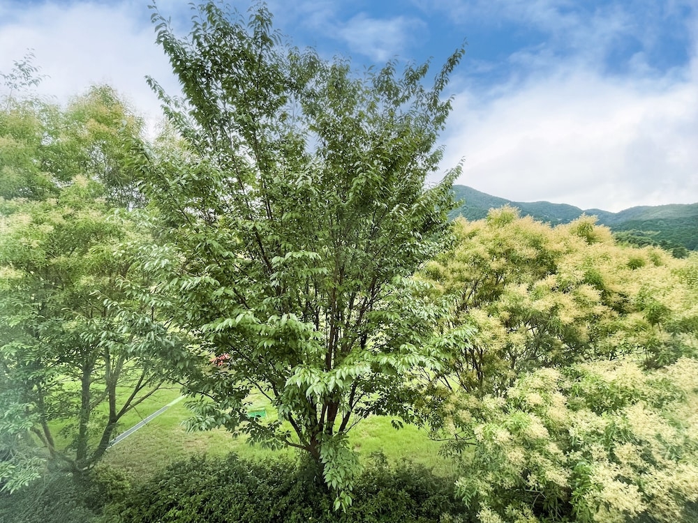 객실에서 보이는 전망