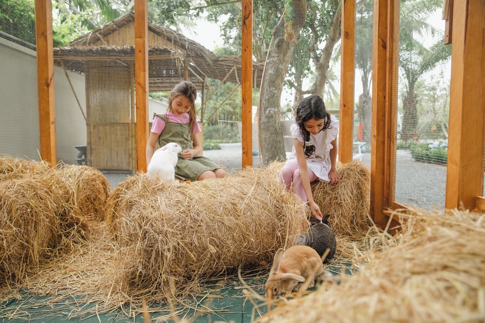 어린이 놀이 공간 - 야외