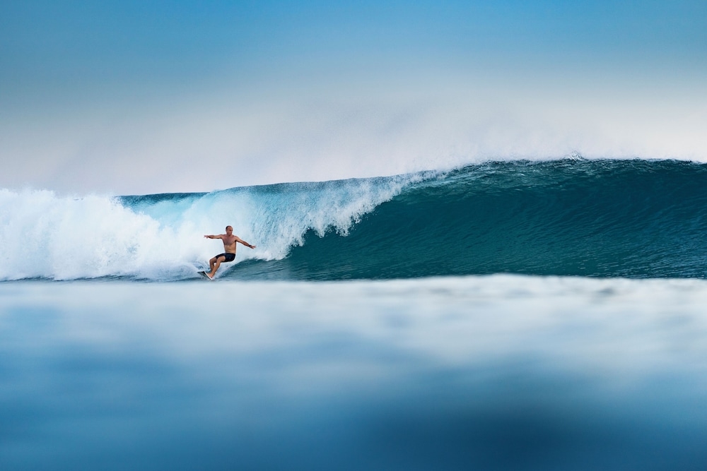서핑/부기 보드