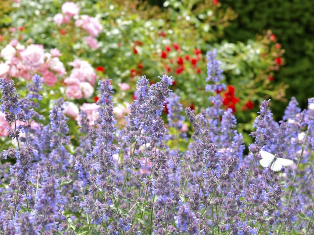 어린이 놀이 공간 - 야외