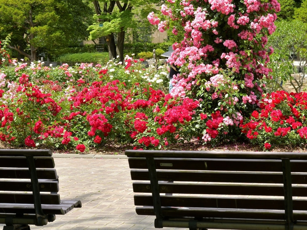 어린이 놀이 공간 - 야외