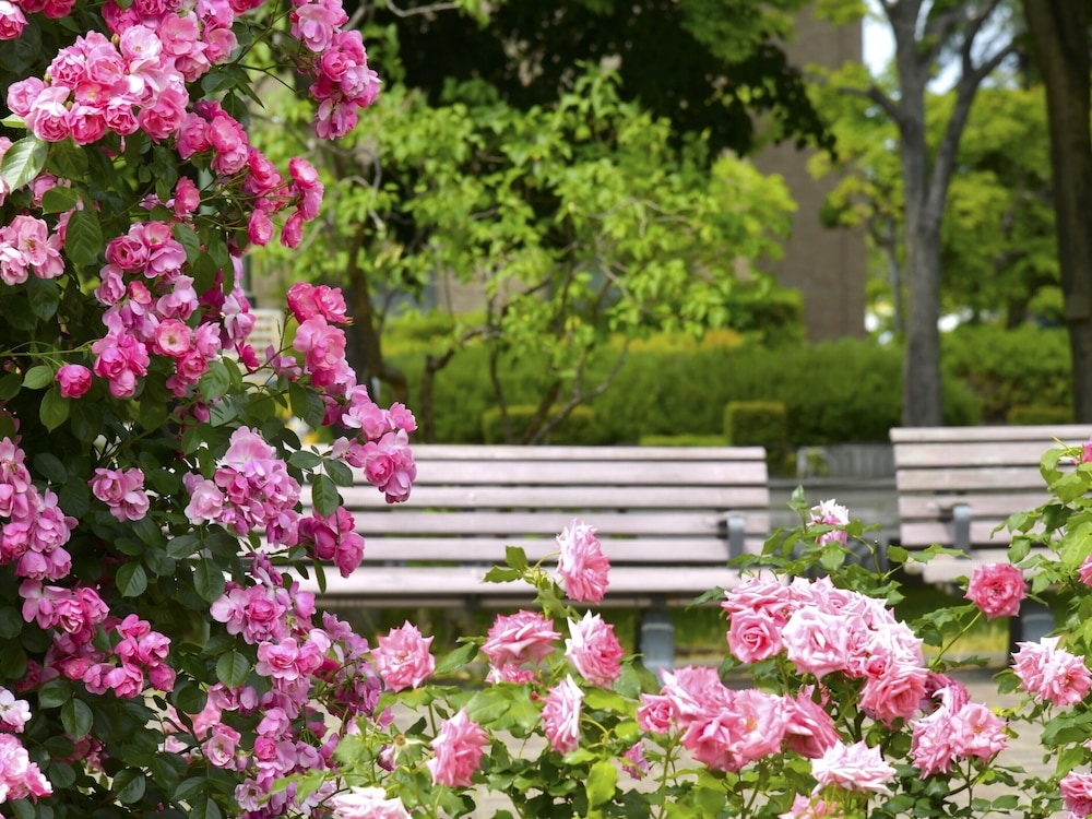 어린이 놀이 공간 - 야외