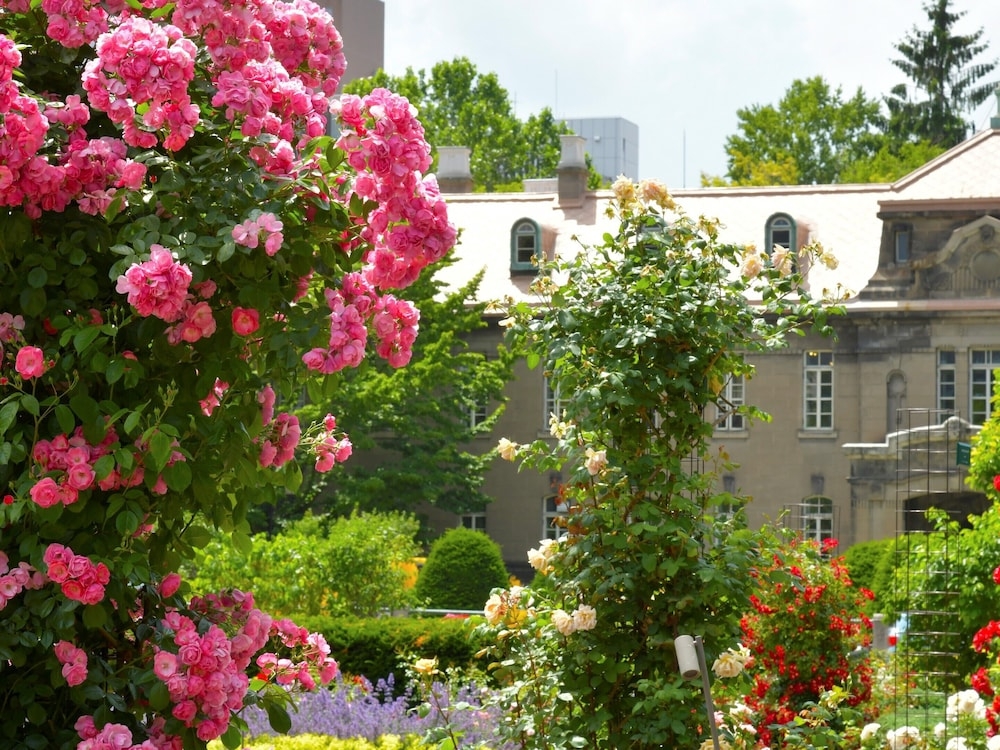 어린이 놀이 공간 - 야외