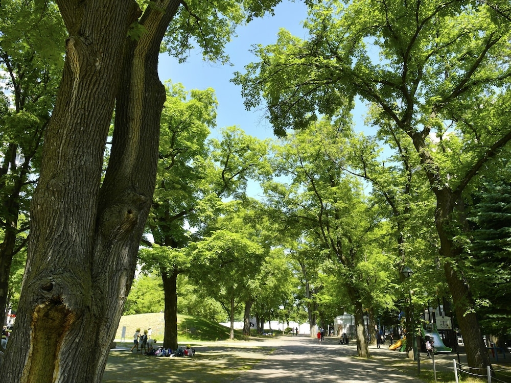 어린이 놀이 공간 - 야외