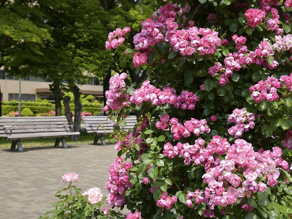 어린이 놀이 공간 - 야외