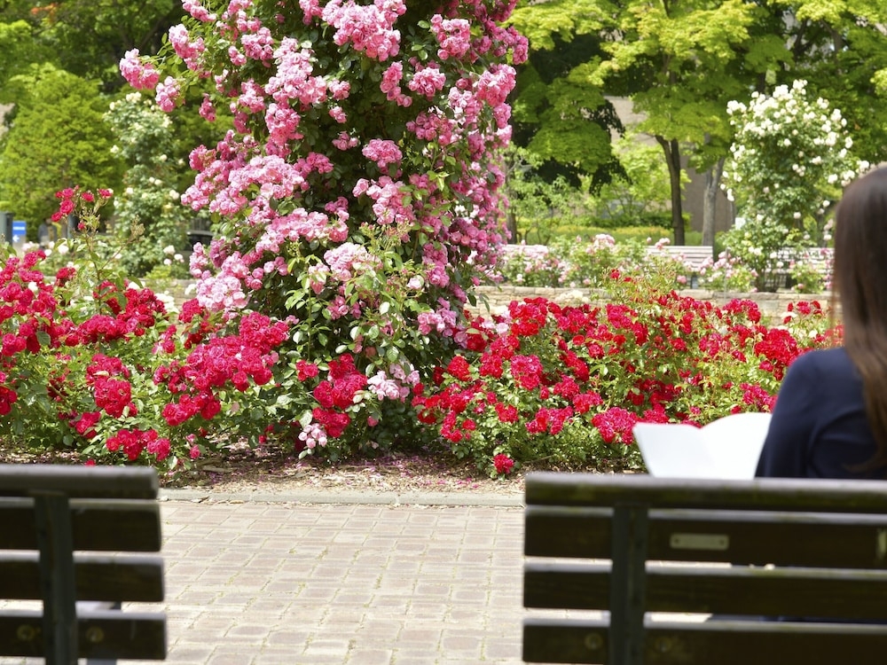 어린이 놀이 공간 - 야외