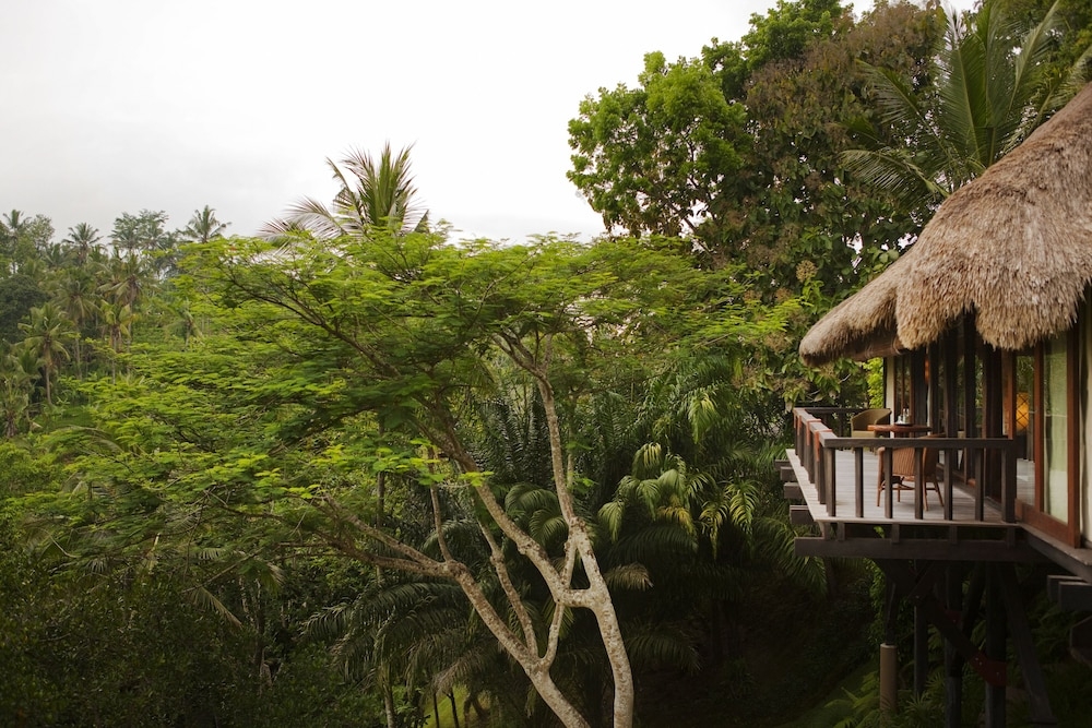 객실에서 보이는 전망