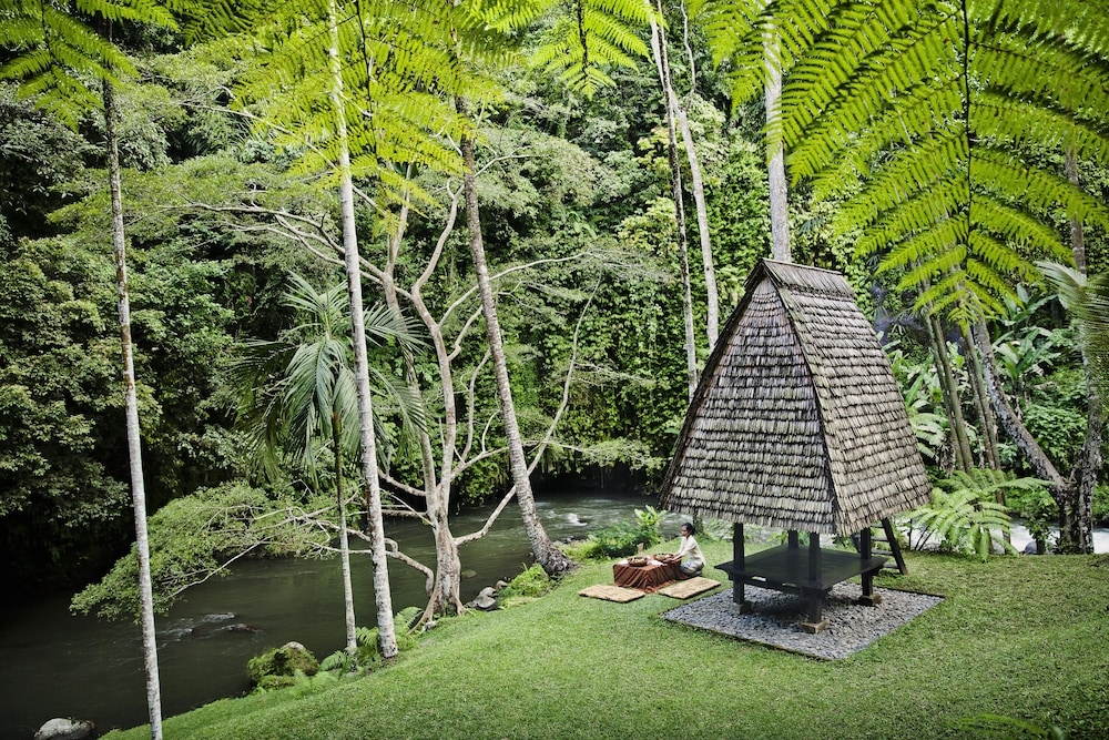 BBQ/피크닉 공간