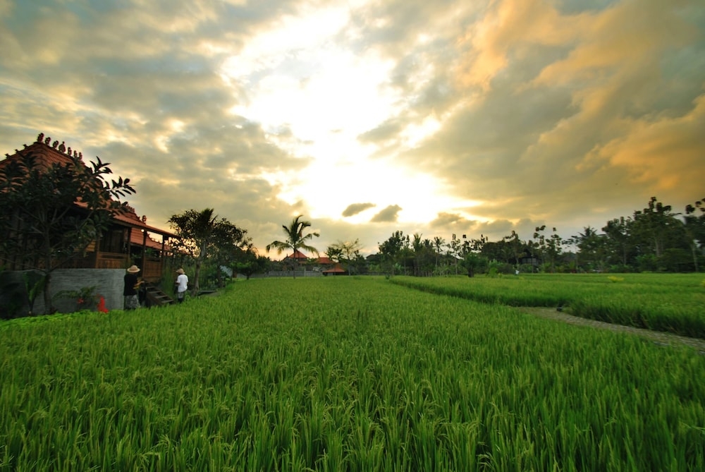 숙박 시설의 전망