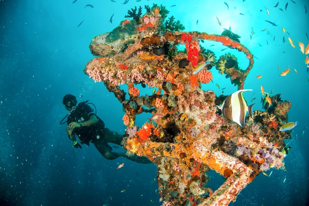 숙박 시설 내 편의 시설/서비스