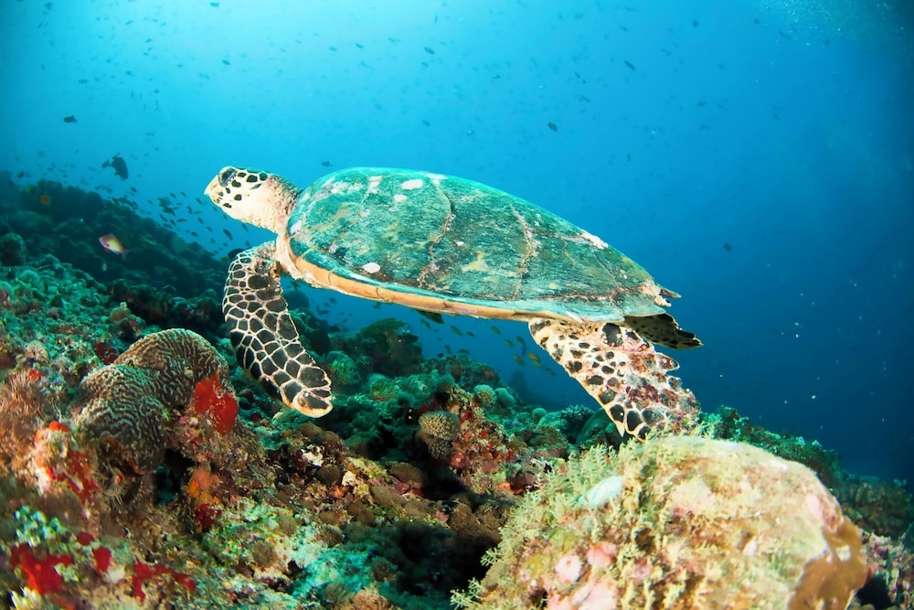숙박 시설 내 편의 시설/서비스