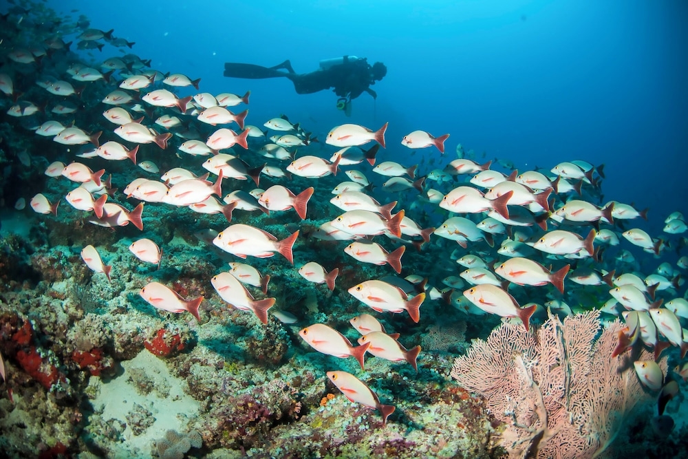 숙박 시설 내 편의 시설/서비스