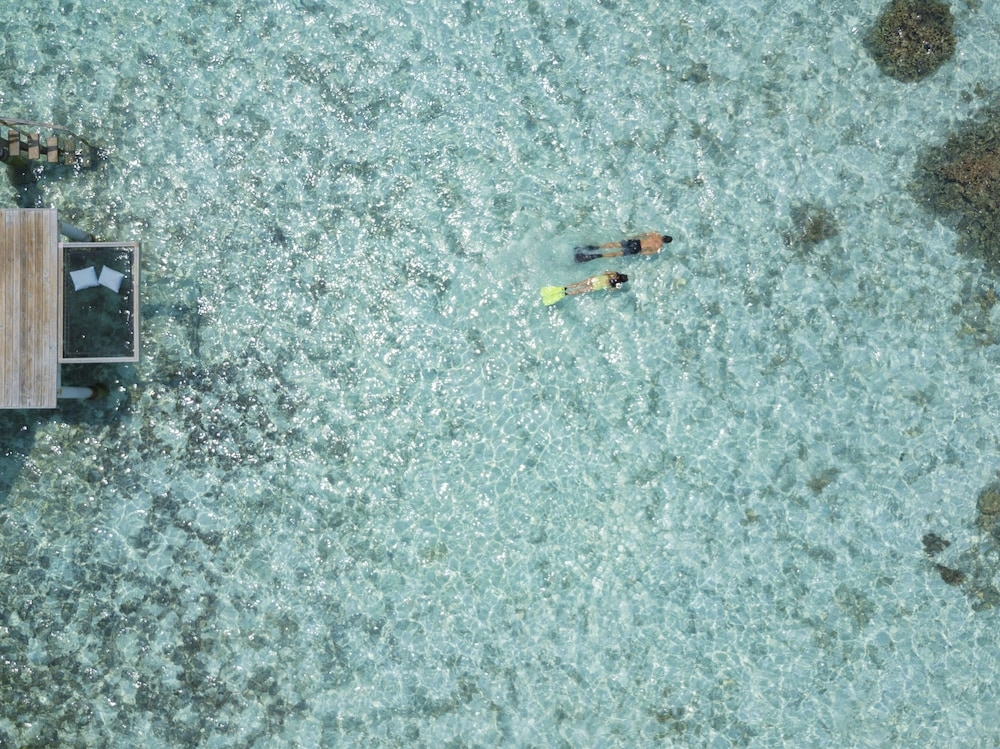 숙박 시설 내 편의 시설/서비스