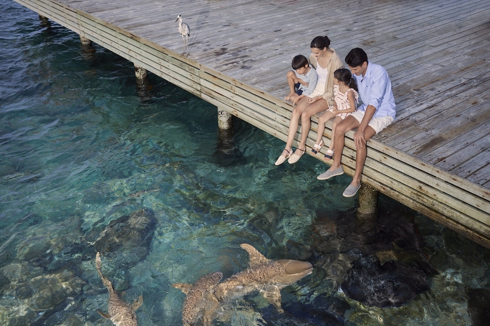 바(숙박 시설 내)