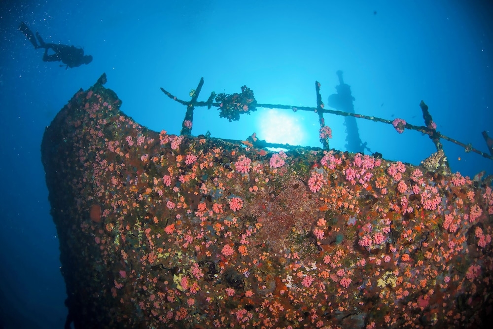 숙박 시설 내 편의 시설/서비스