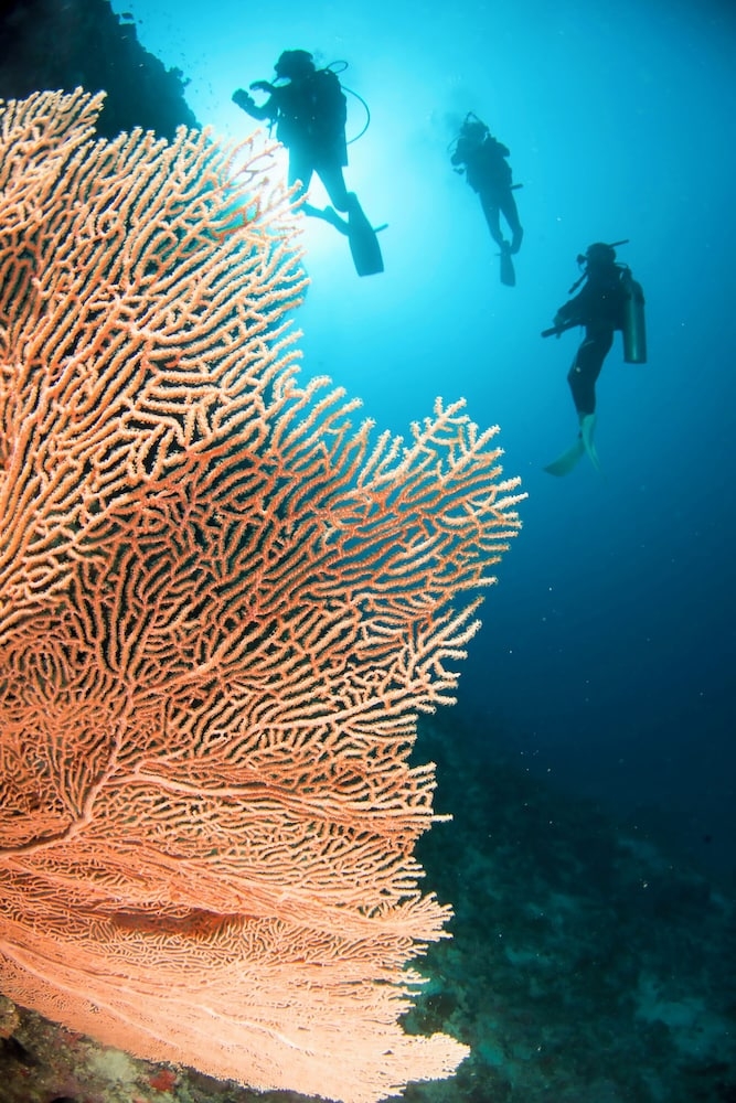 숙박 시설 내 편의 시설/서비스