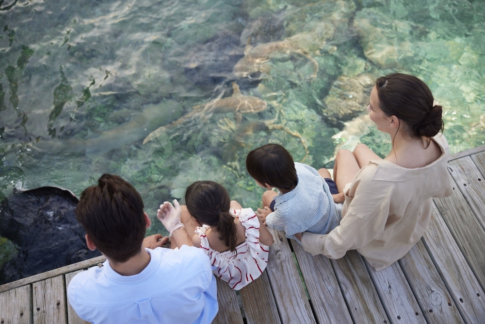 바(숙박 시설 내)