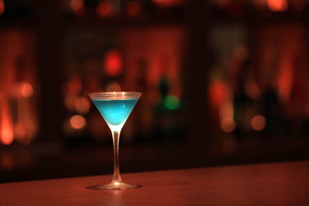 바(숙박 시설 내)