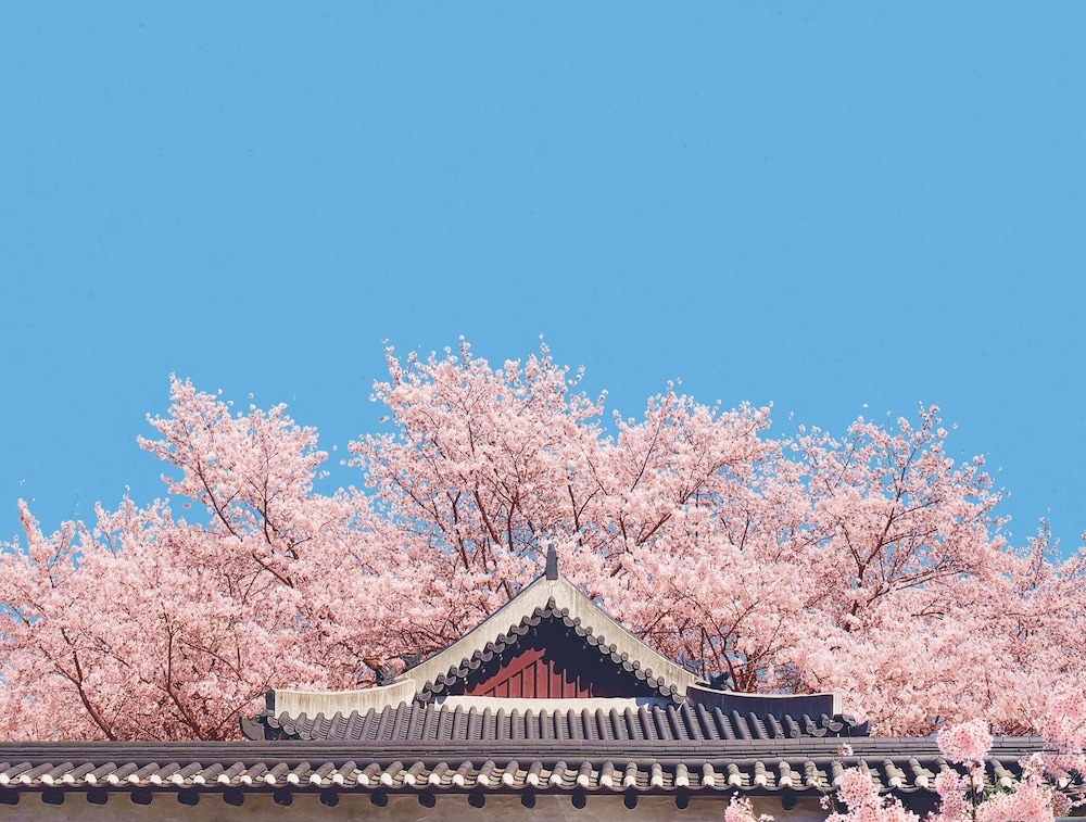 숙박 시설에서 보는 주변 전망