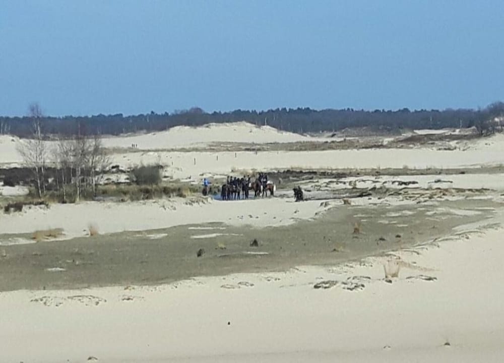 숙박 시설의 전망