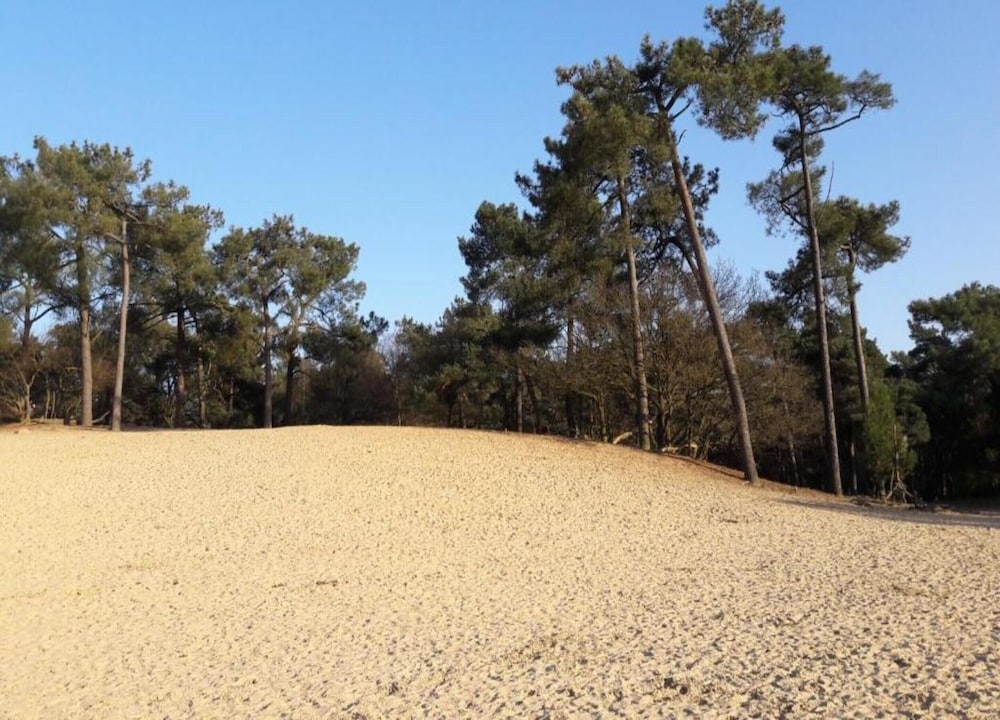 숙박 시설의 전망