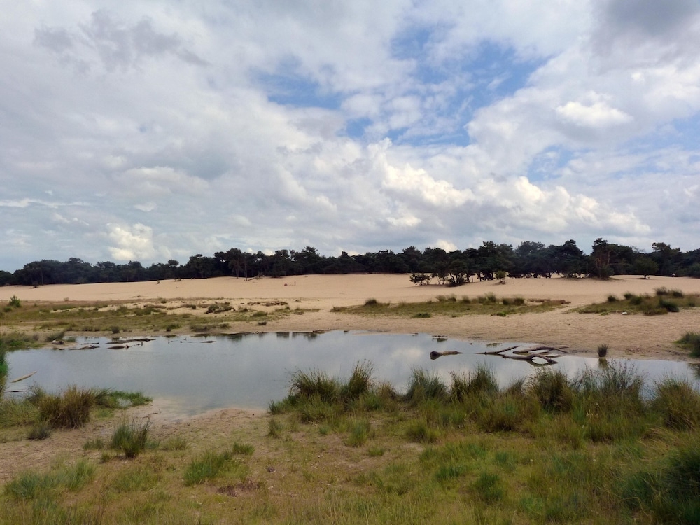 숙박 시설의 전망