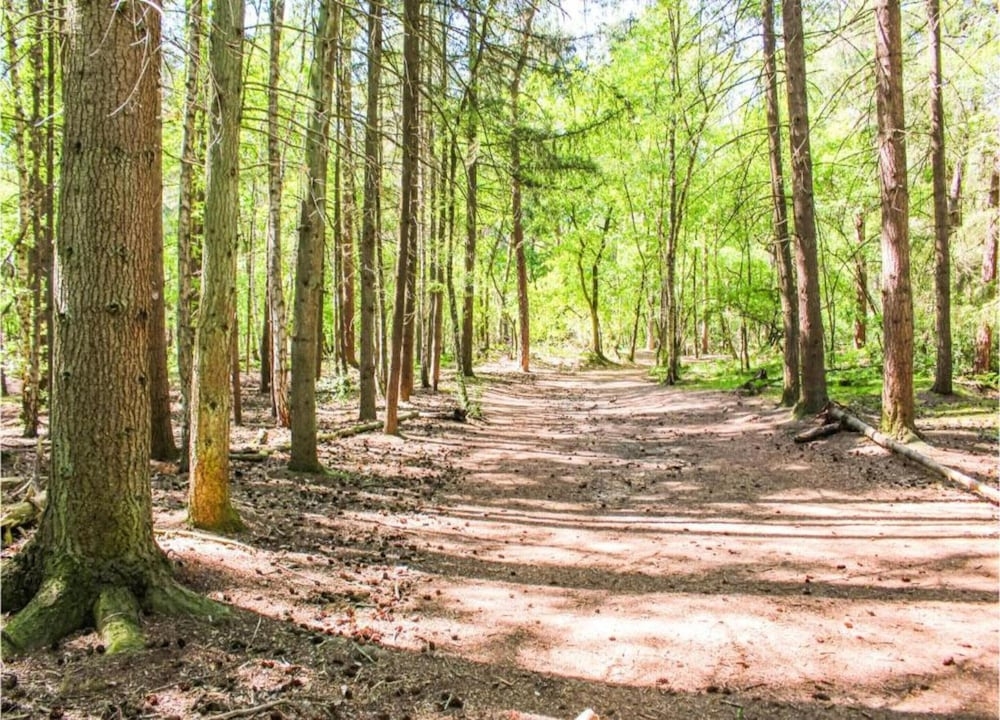 숙박 시설의 전망