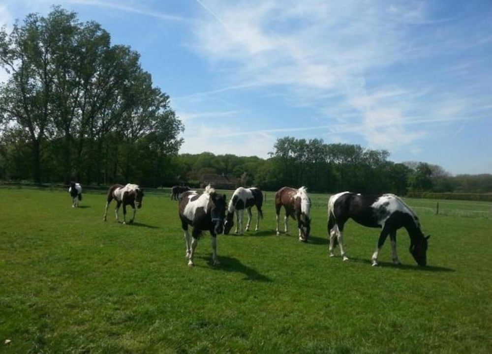 숙박 시설의 전망