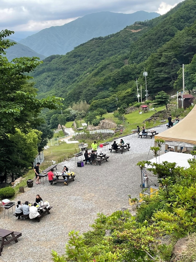 BBQ/피크닉 공간