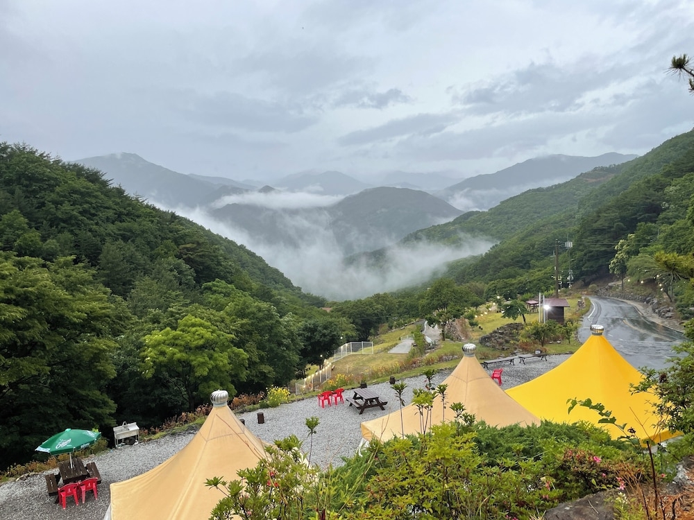 BBQ/피크닉 공간