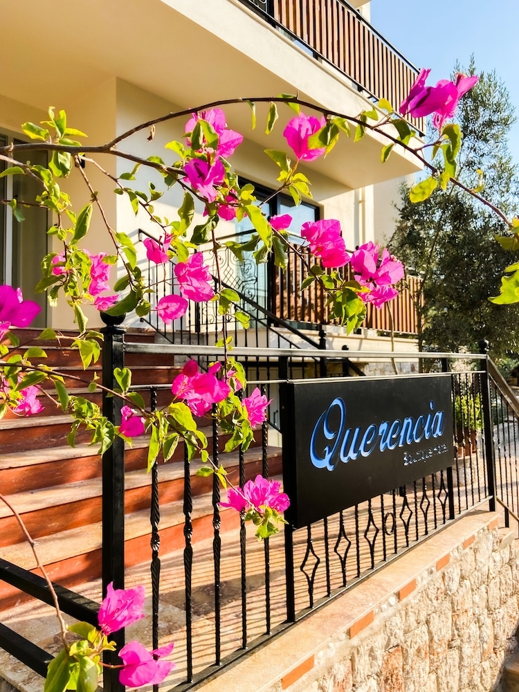 외부 세부 사진