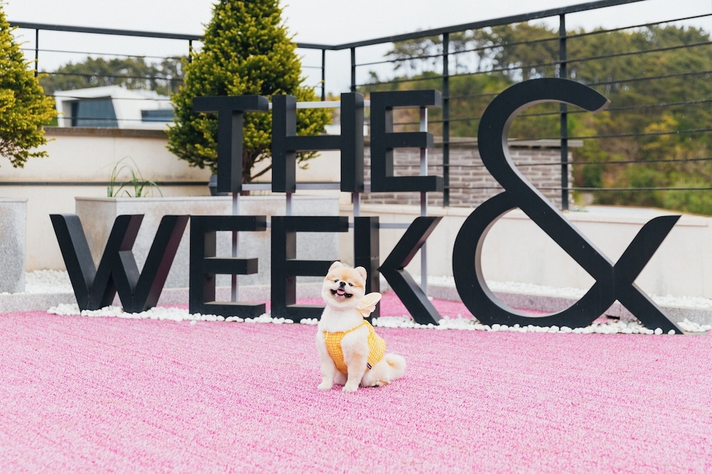 반려동물 동반 편의 시설