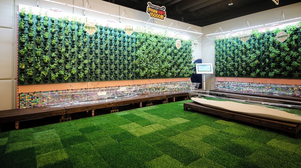 어린이 즐길거리