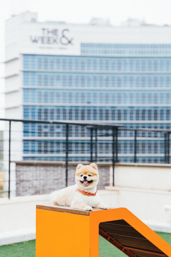 반려동물 동반 편의 시설