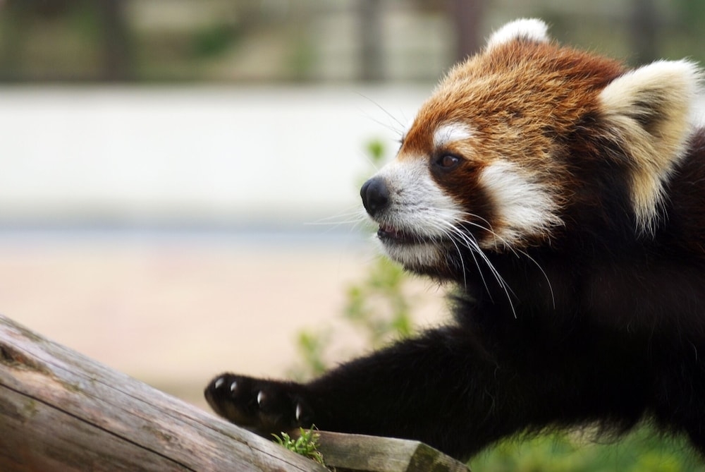 숙박 시설 지도