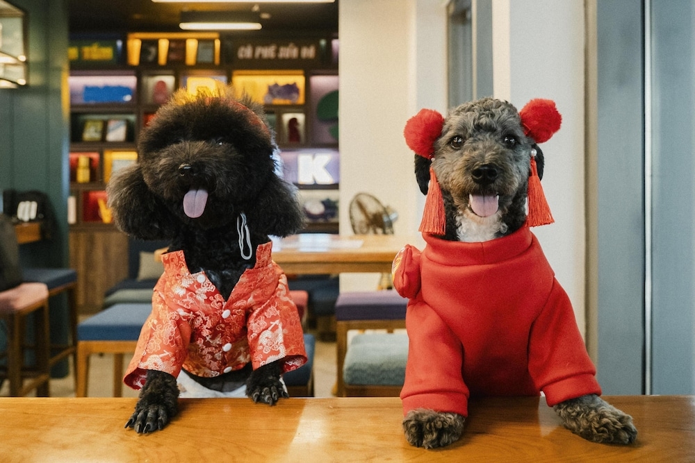 어린이 즐길거리