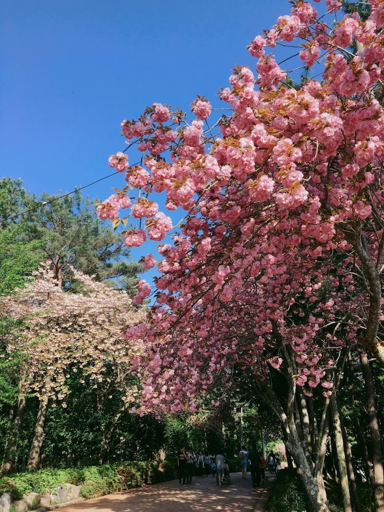 숙박 시설 구내