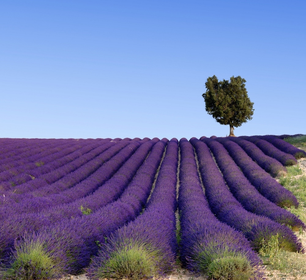 숙박 시설 내 편의 시설/서비스