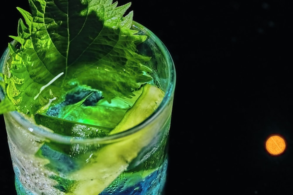 바(숙박 시설 내)