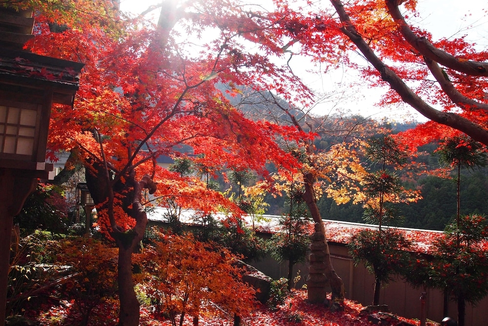 숙박 시설의 전망