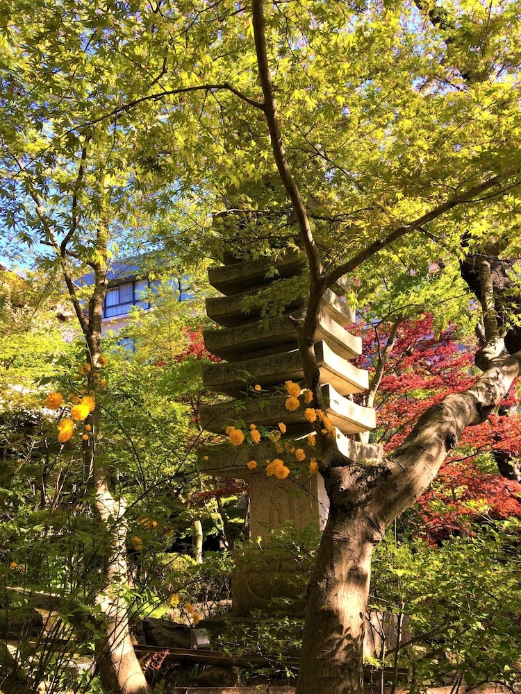 숙박 시설의 전망