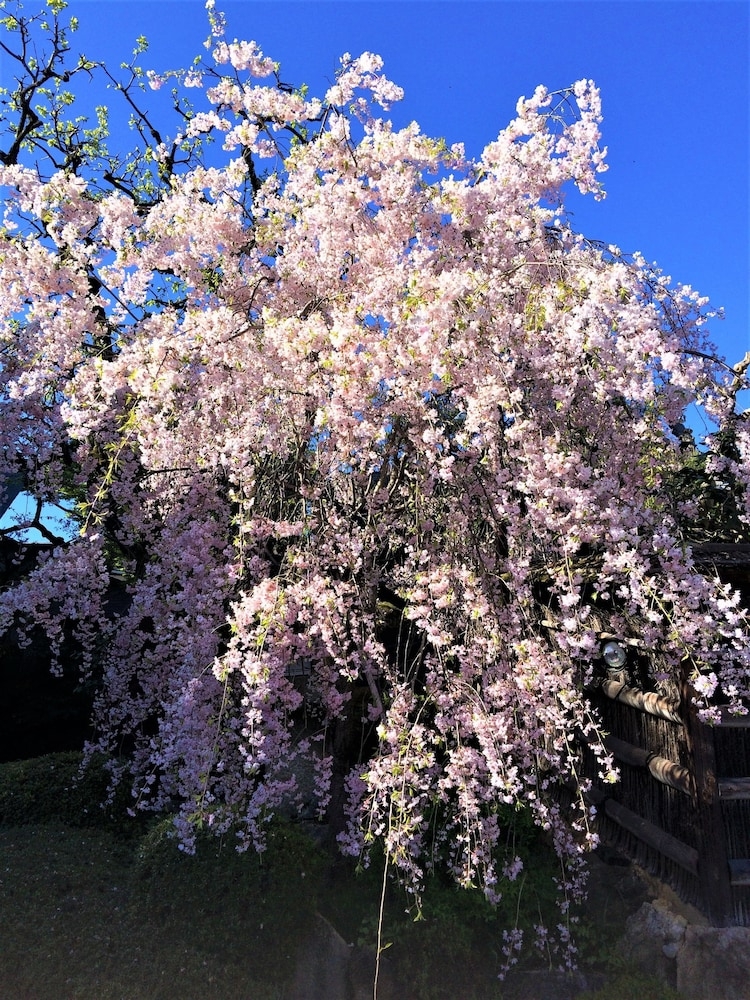 숙박 시설의 전망