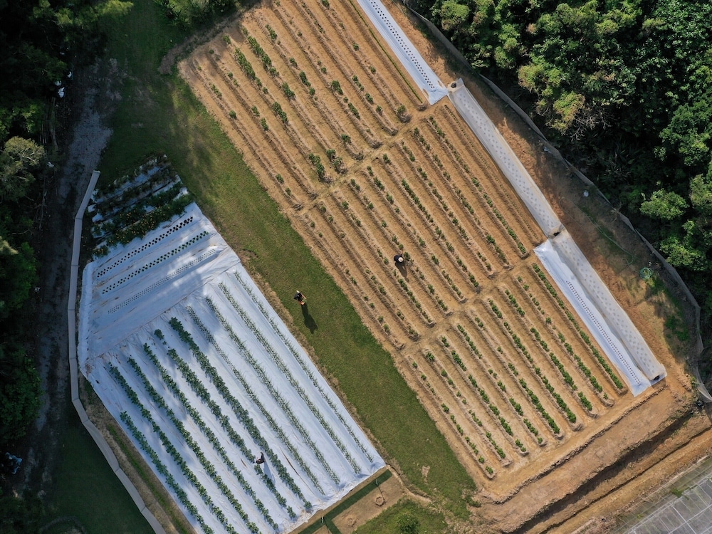 숙박 시설 구내