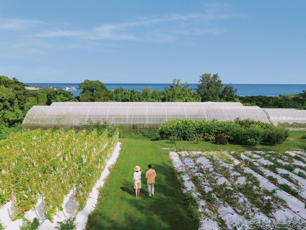 숙박 시설 구내