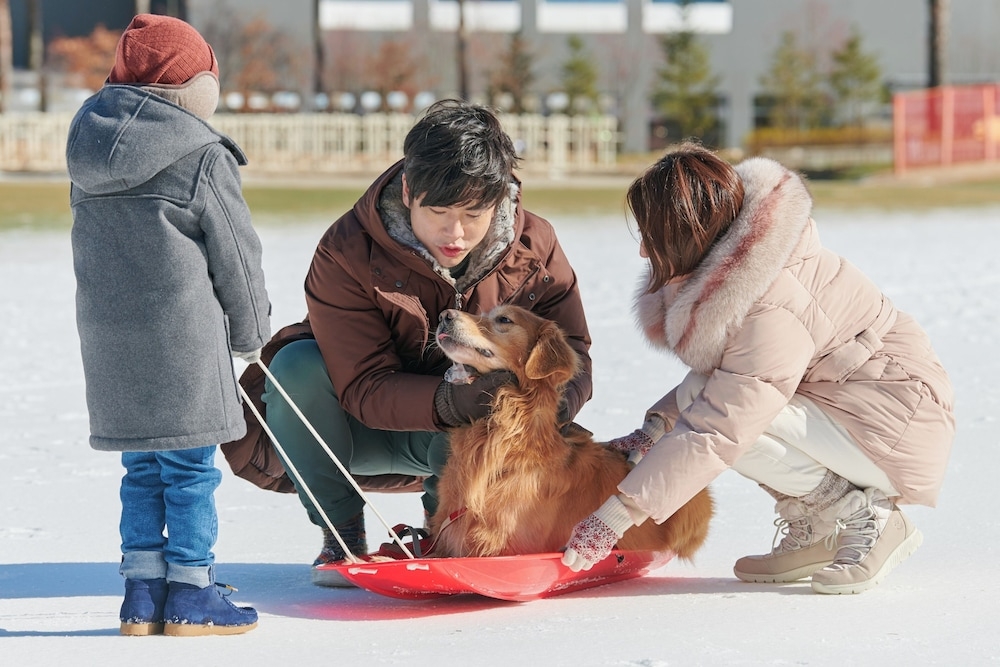 스키 및 겨울 스포츠