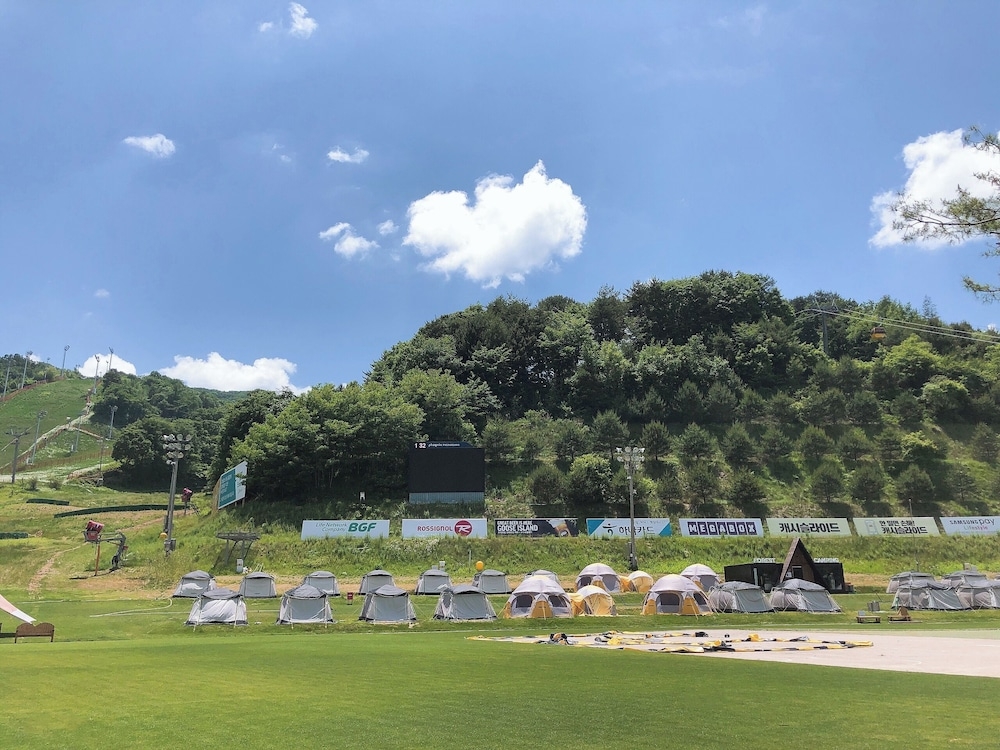 BBQ/피크닉 공간