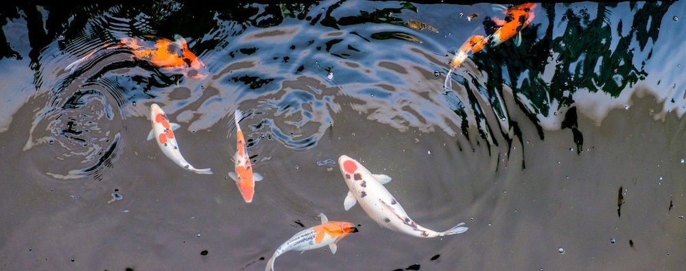 내부 세부 사진