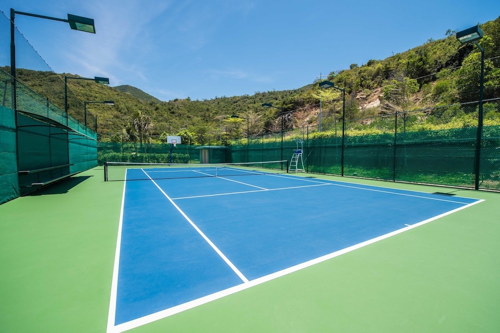 테니스 코트