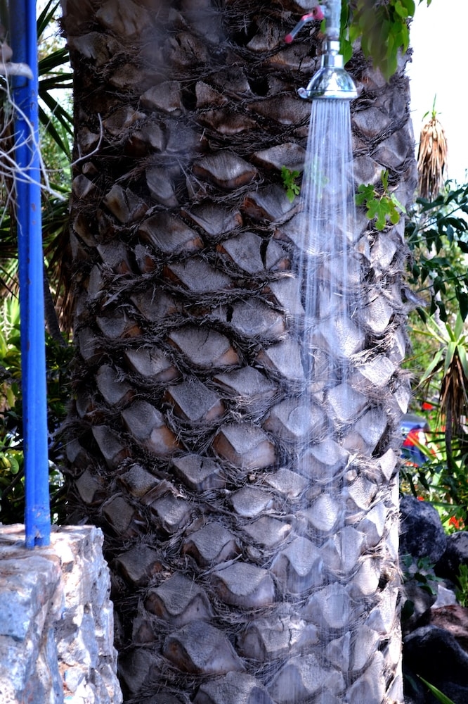 외부 세부 사진