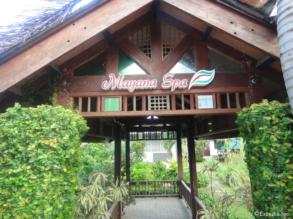 스파 트리트먼트